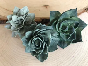 12 Blue and Green Delicate Wood Succulents - 2"
