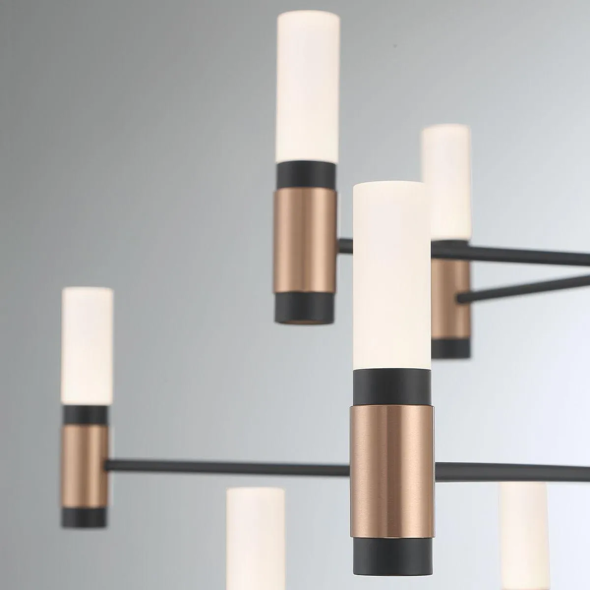 Albany 12 Lights 31 in. LED Chandelier Black & Brass Finish