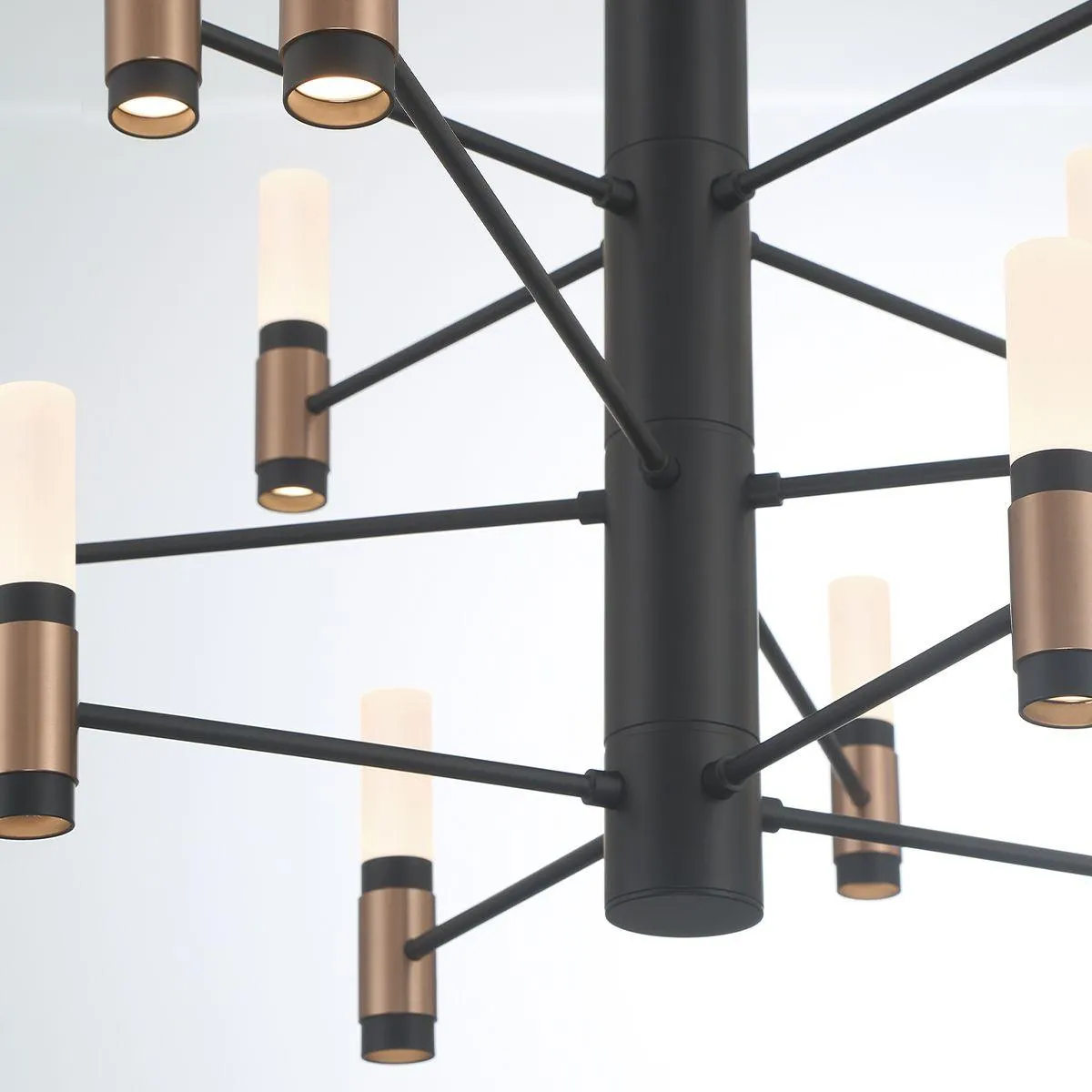 Albany 12 Lights 31 in. LED Chandelier Black & Brass Finish