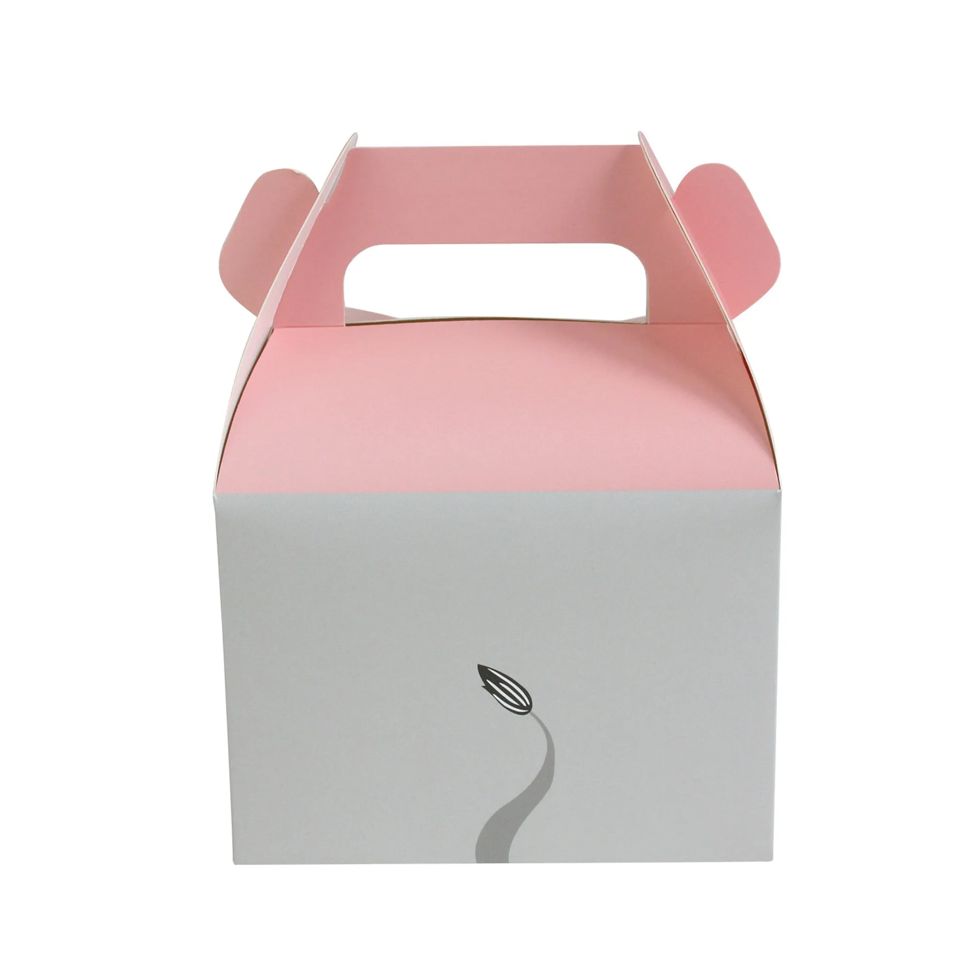 Animal-Themed Party Boxes Pack of 12