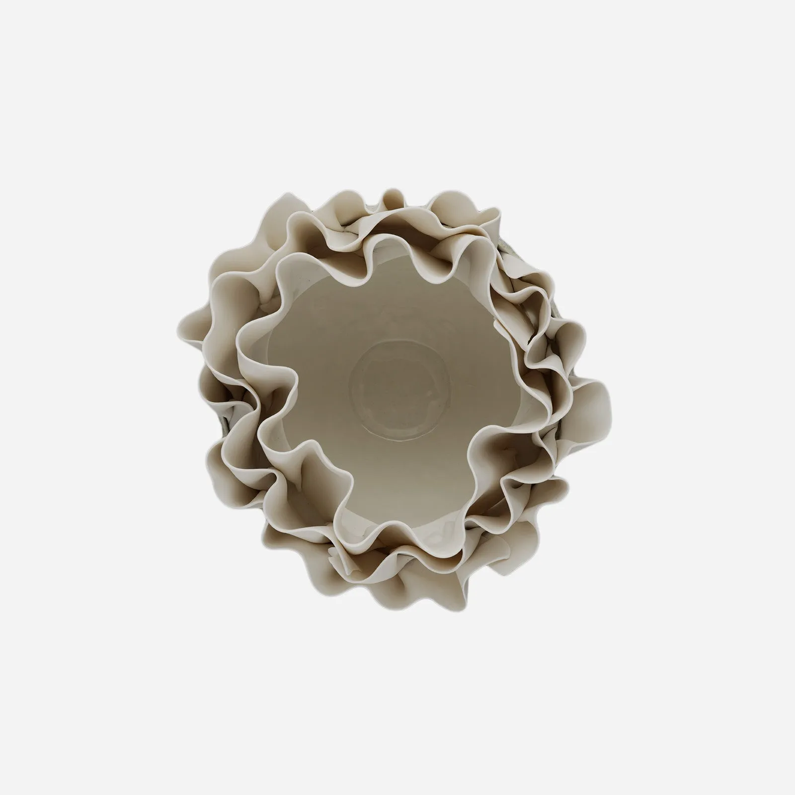 Anthozoa Blue Centerpiece