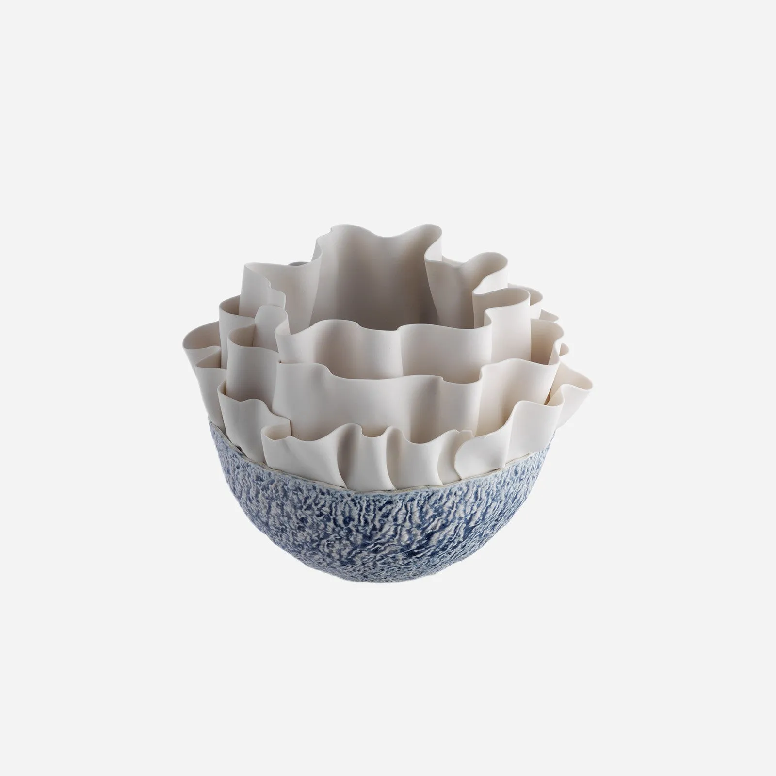 Anthozoa Blue Centerpiece