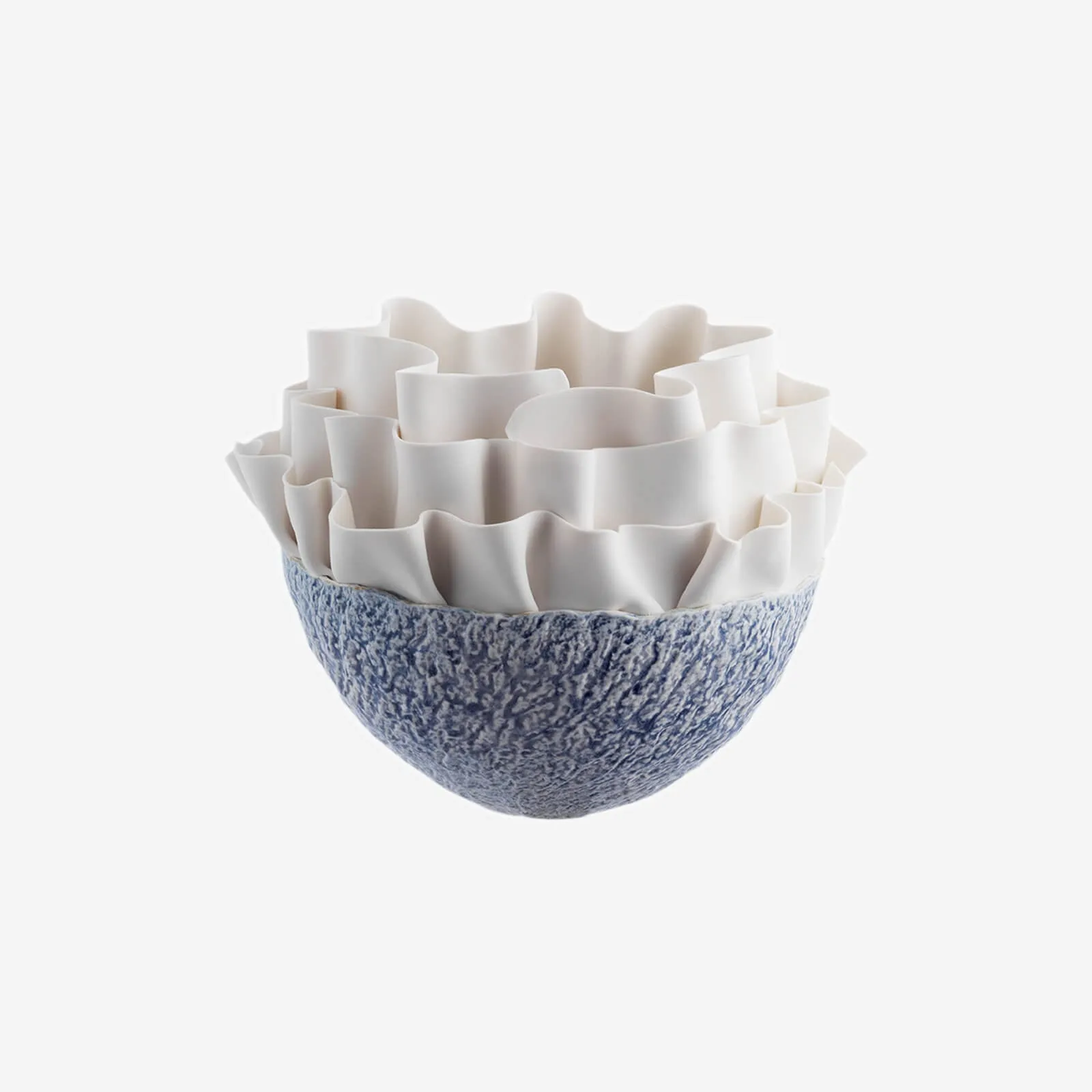 Anthozoa Blue Centerpiece