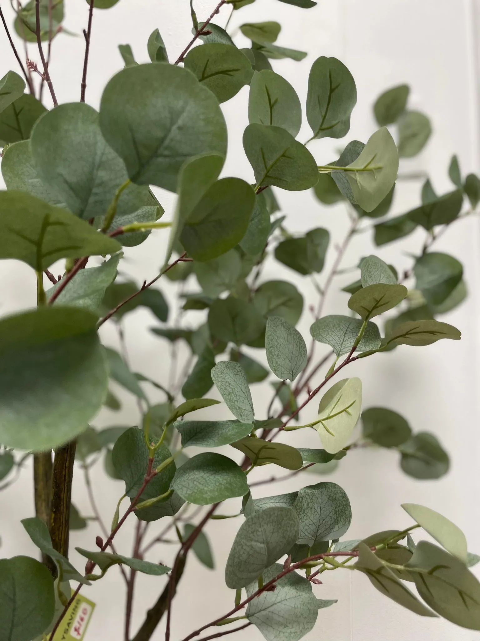 Artificial Eucalyptus Plant (140 cm)