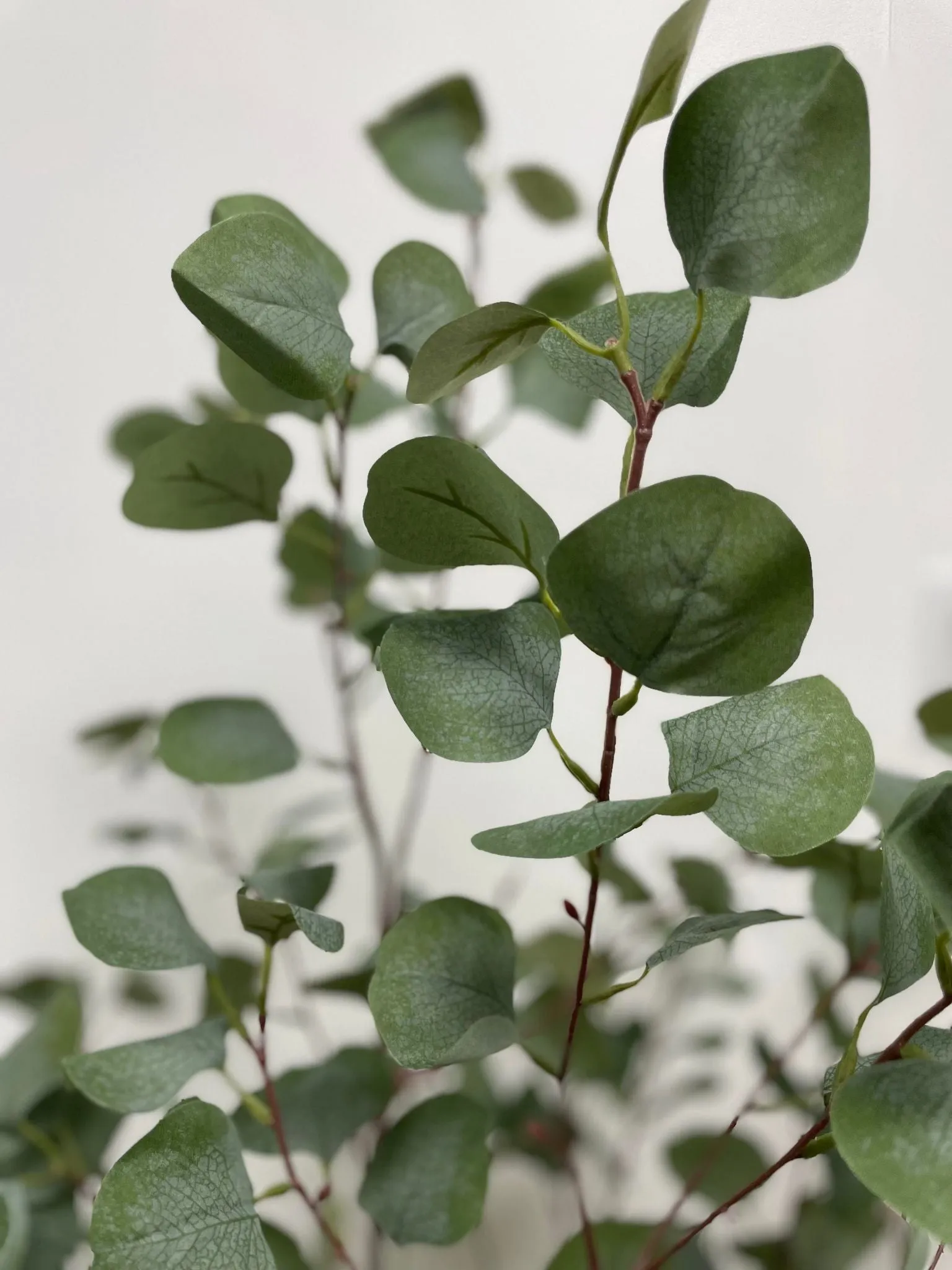 Artificial Eucalyptus Plant (140 cm)