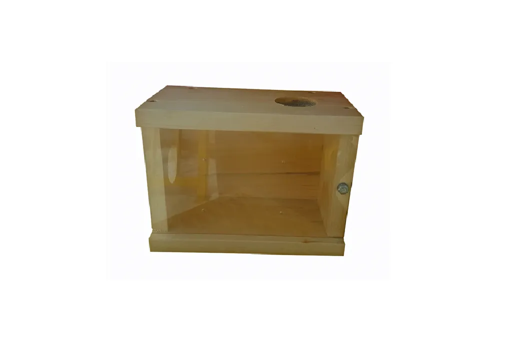 Bee Buddy Box