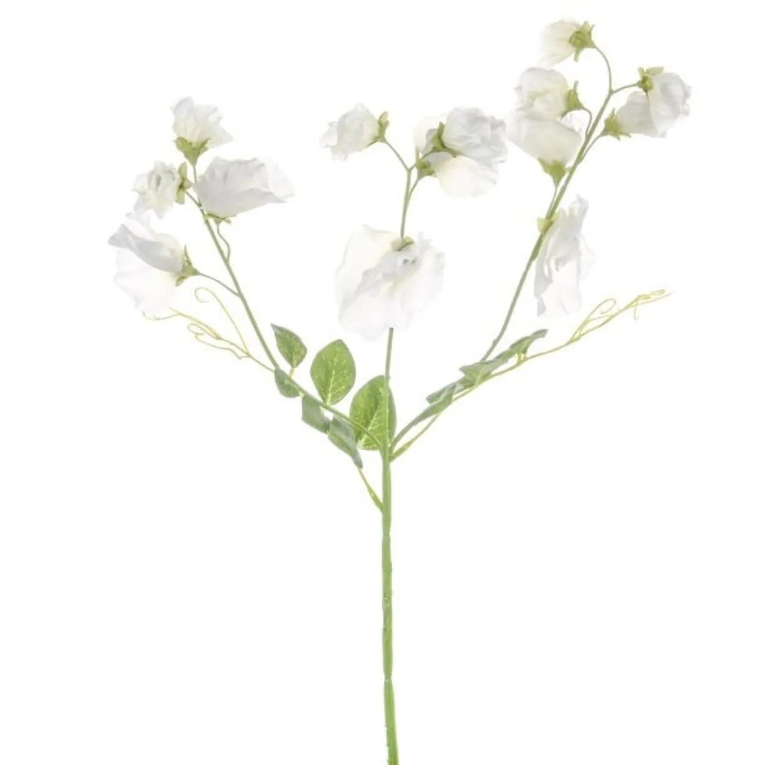 CB Impoorts 68cm Artificial Ivory Dawn Sweetpea Stem