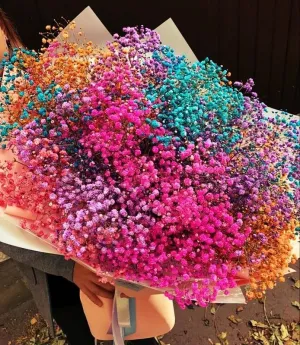 CLOUD INDIA Decorative Baby Breaths Naturally Dried Flower for Vase Filler for Home Dcor|Indoor |Office Dcor (Multicolor, 50 Stem)
