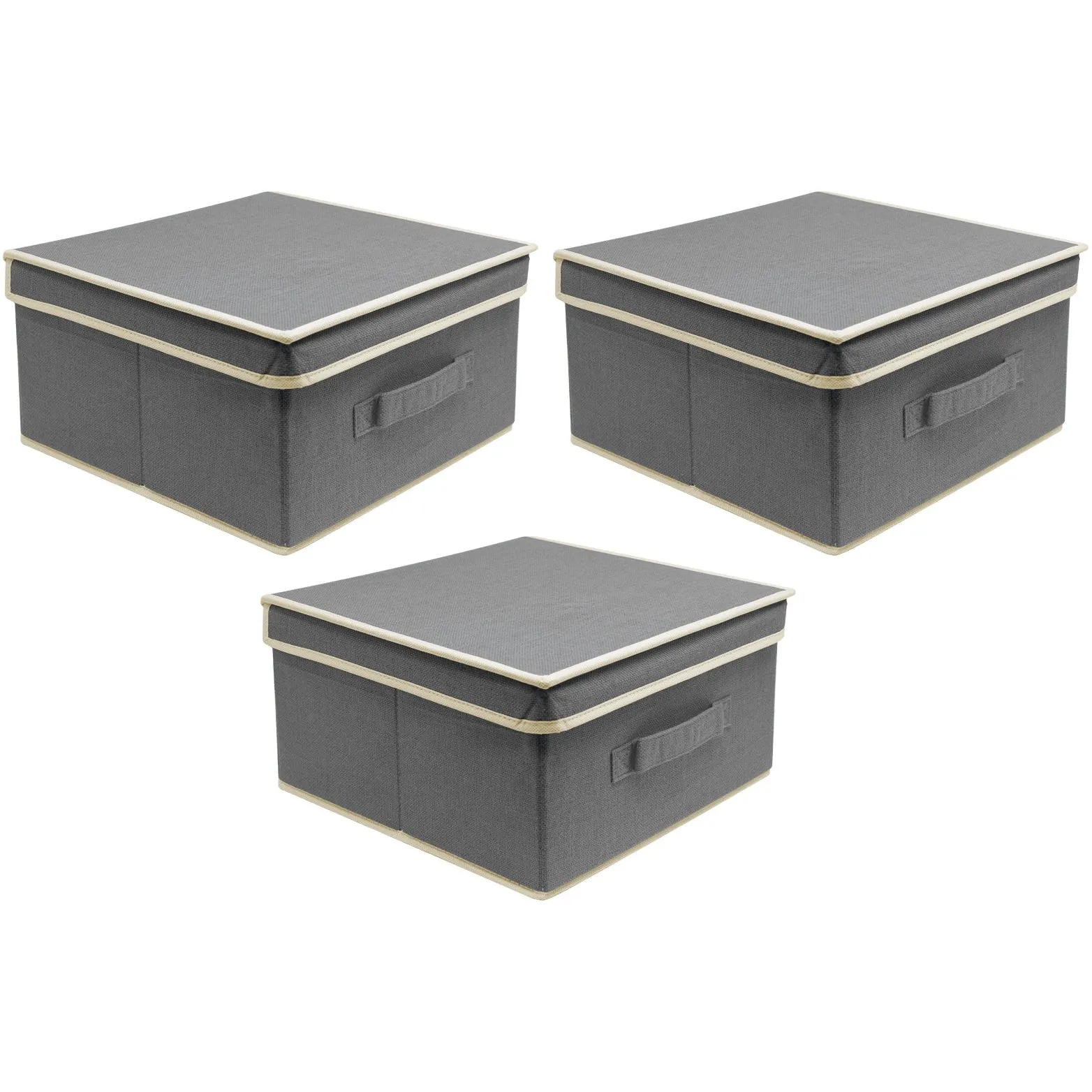 Fabric Storage Bins with Lid (Set of 3)