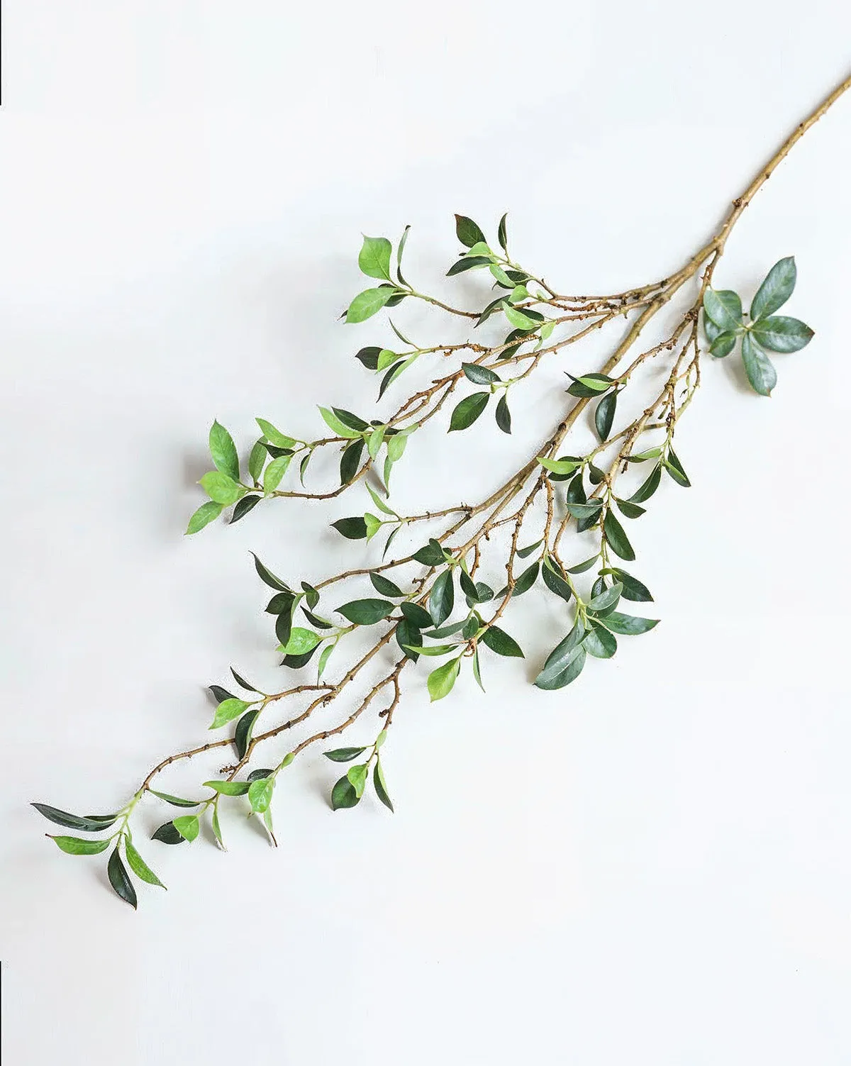Faux Ficus Branch