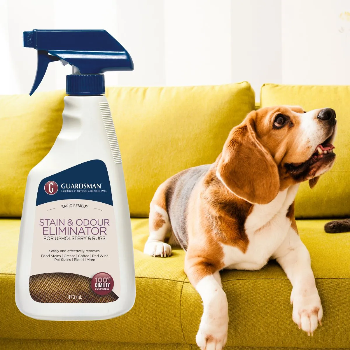 Guardsman Fabric Stain & Odour Eliminator, 473ml