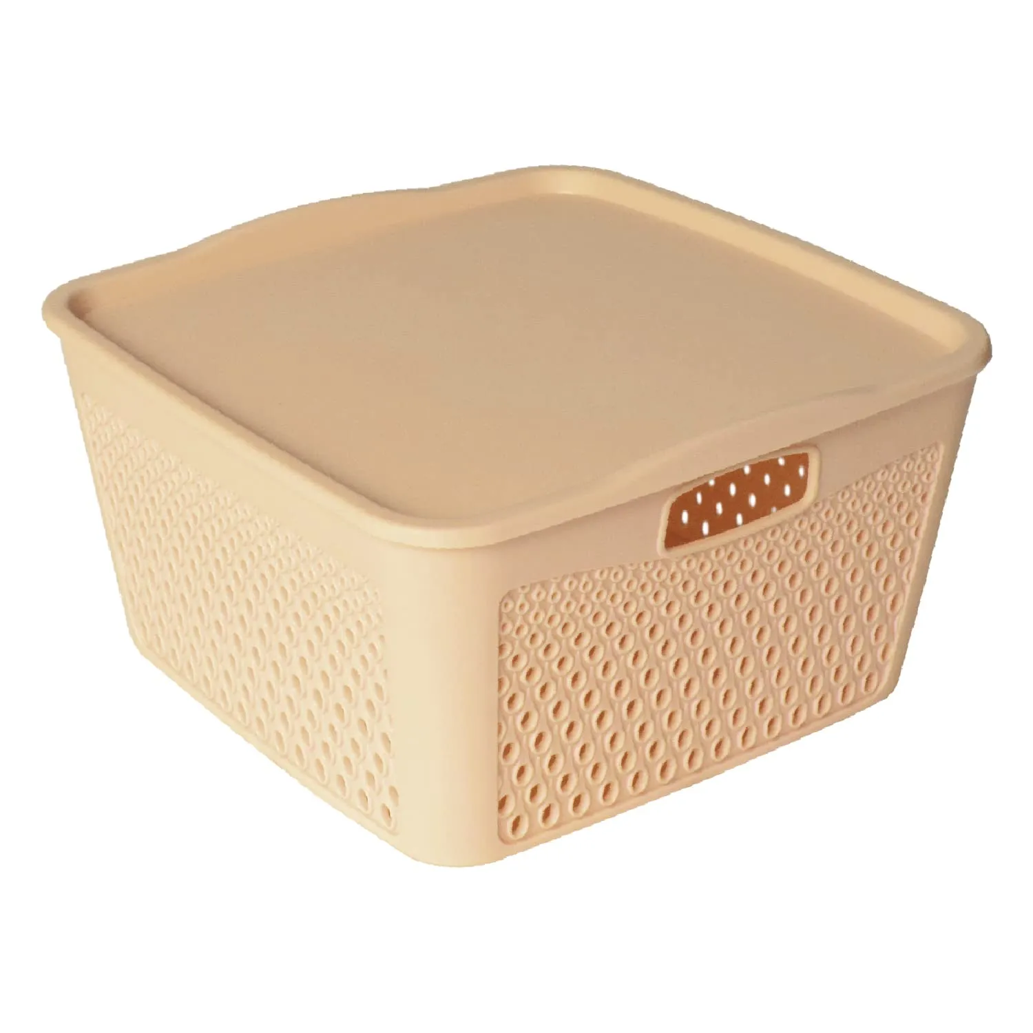 Heart Home Netted Design Unbreakable Multipurpose Square Shape Plastic Storage Baskets with lid Small Pack of 2 (Beige)