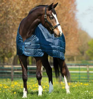 Horseware Liner 100g