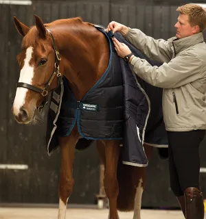 Horseware Liner 400g