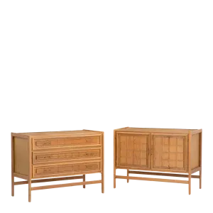 Late 1970s Danish design : paneled oakwood cabinet