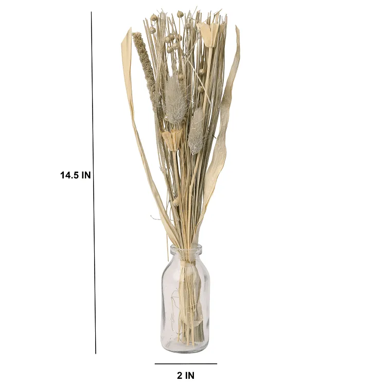 Liliana  Dried Floral Silver Haze  (small)