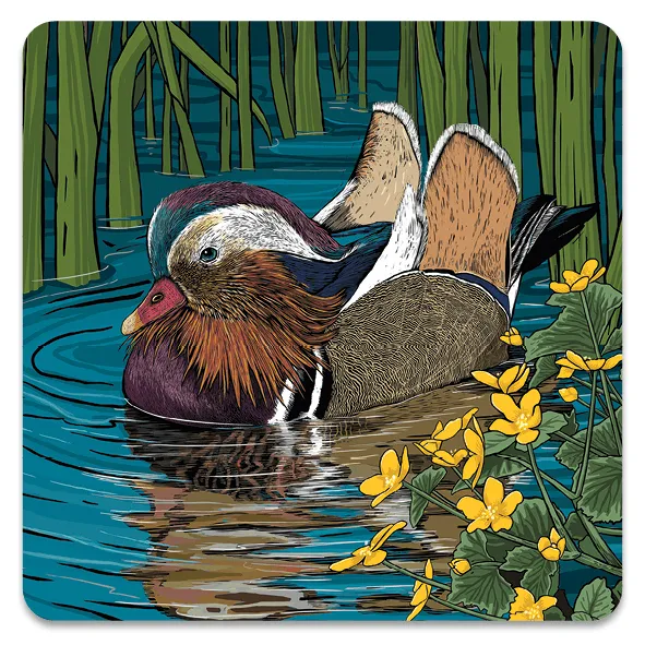 Mandarin & Marigolds Coaster