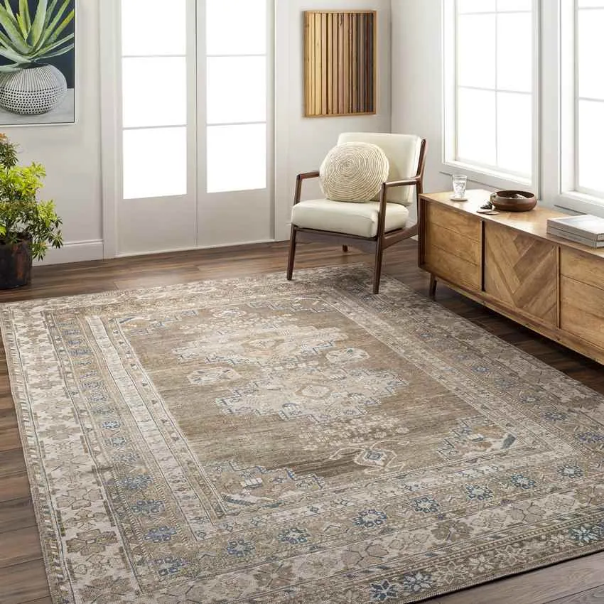 Mccordsville Traditional Area Rug Carpet for Living Room Bedroom or Kitchen