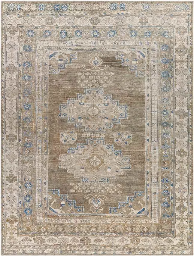 Mccordsville Traditional Area Rug Carpet for Living Room Bedroom or Kitchen