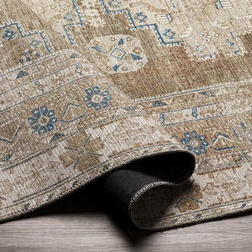Mccordsville Traditional Area Rug Carpet for Living Room Bedroom or Kitchen