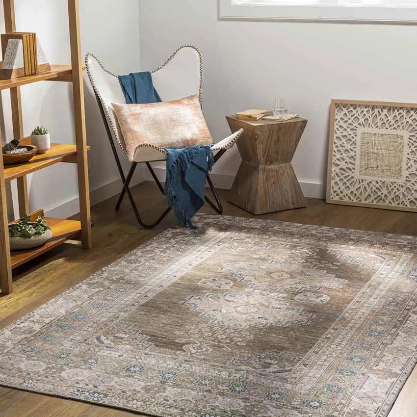 Mccordsville Traditional Area Rug Carpet for Living Room Bedroom or Kitchen