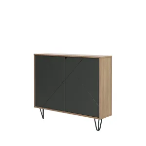 modern Slim 39 in. Accent Cabinet with 2 Doors, White