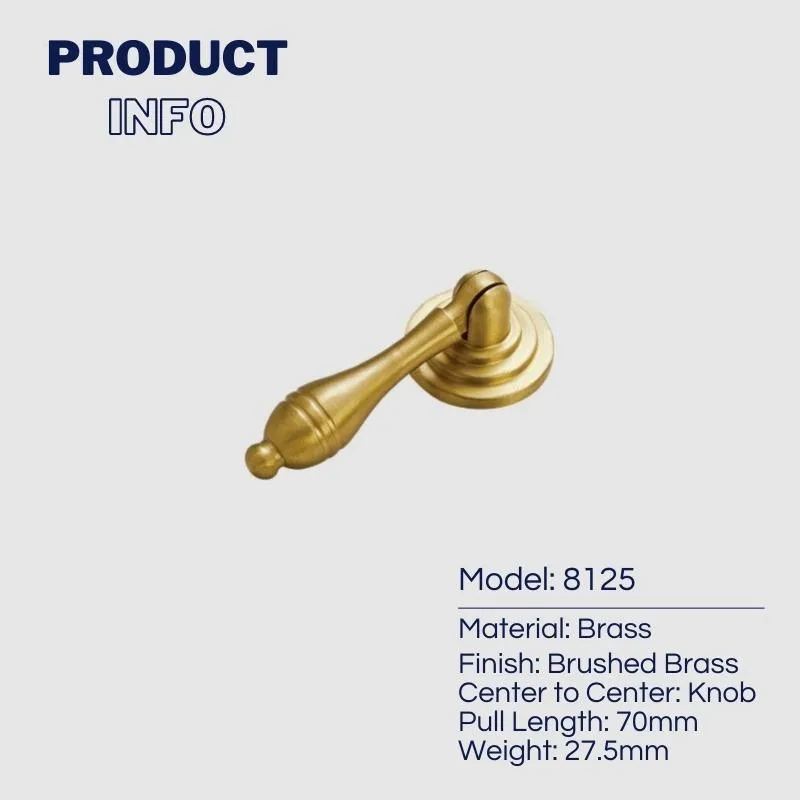 New Chinese Style Brass Drop Pulls with Backplate Drawer Knobs