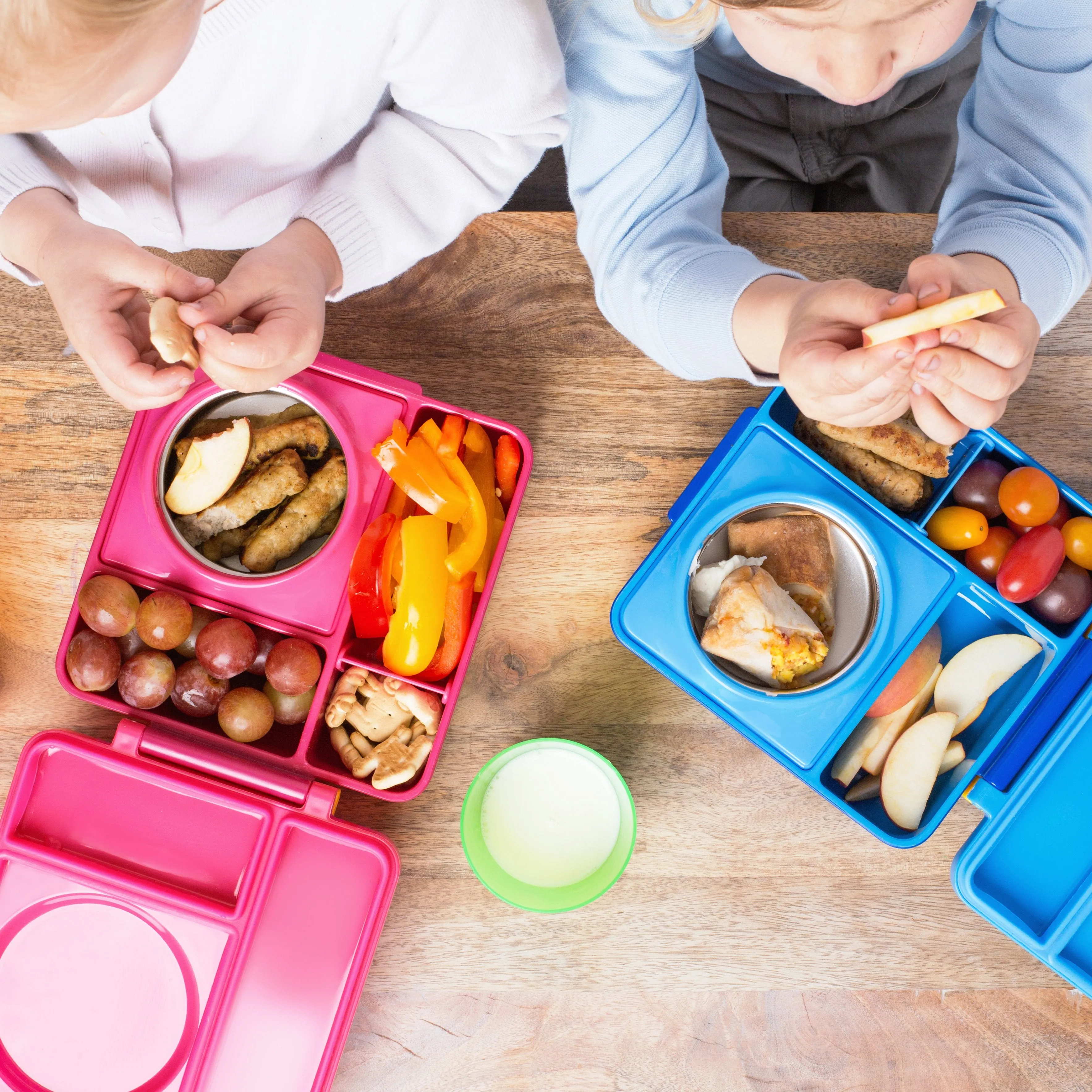 OmieBox Insulated Hot & Cold Bento Box - Blue Sky