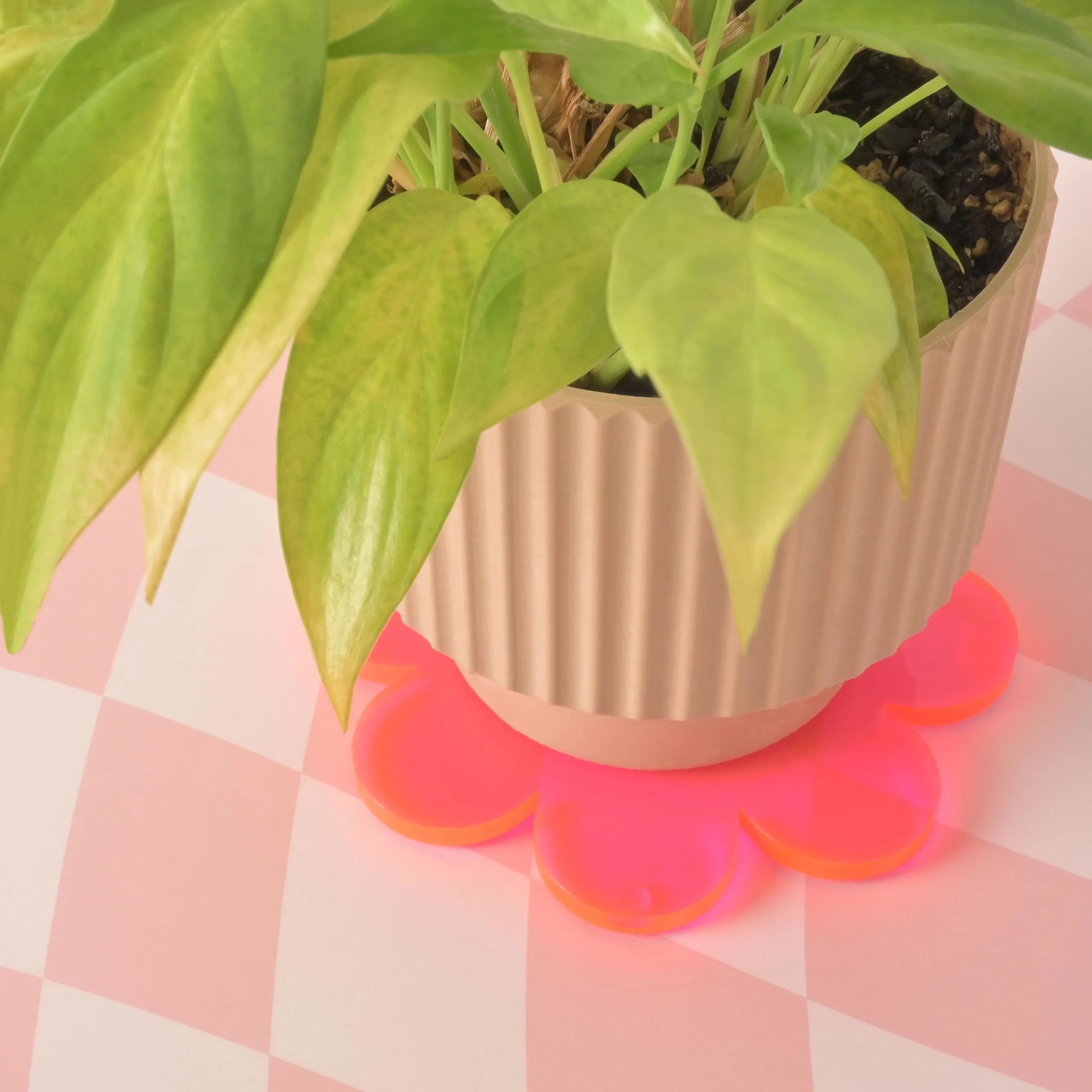 Oversized Flower Coaster