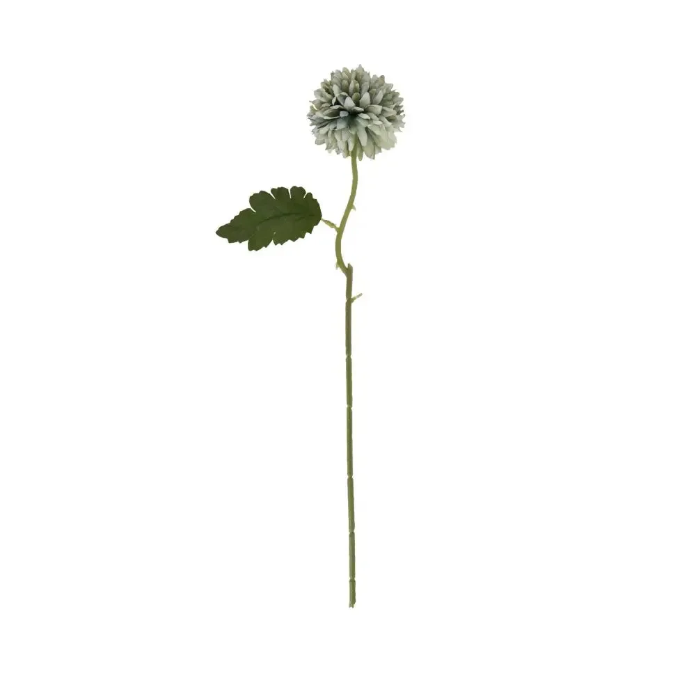 Pale green blue short chrysanthemum