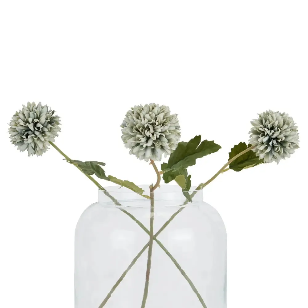 Pale green blue short chrysanthemum