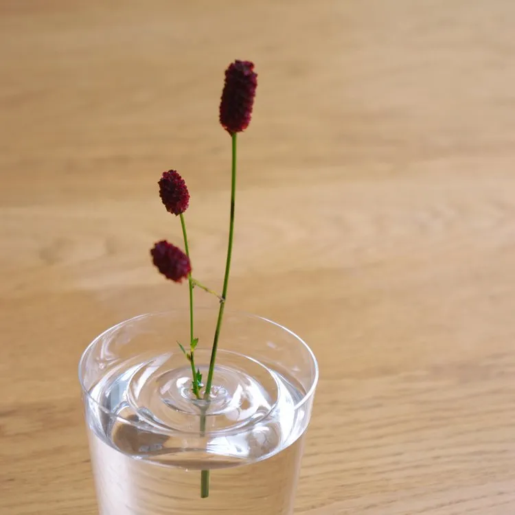 Ripple Floating Bud Vase