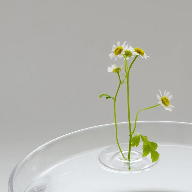 Ripple Floating Bud Vase