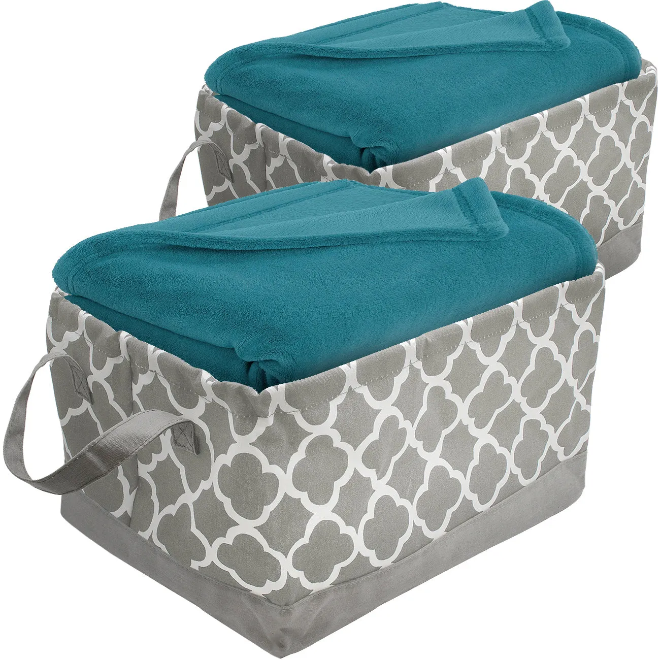 Storage Basket Bin Set (2 Pack)