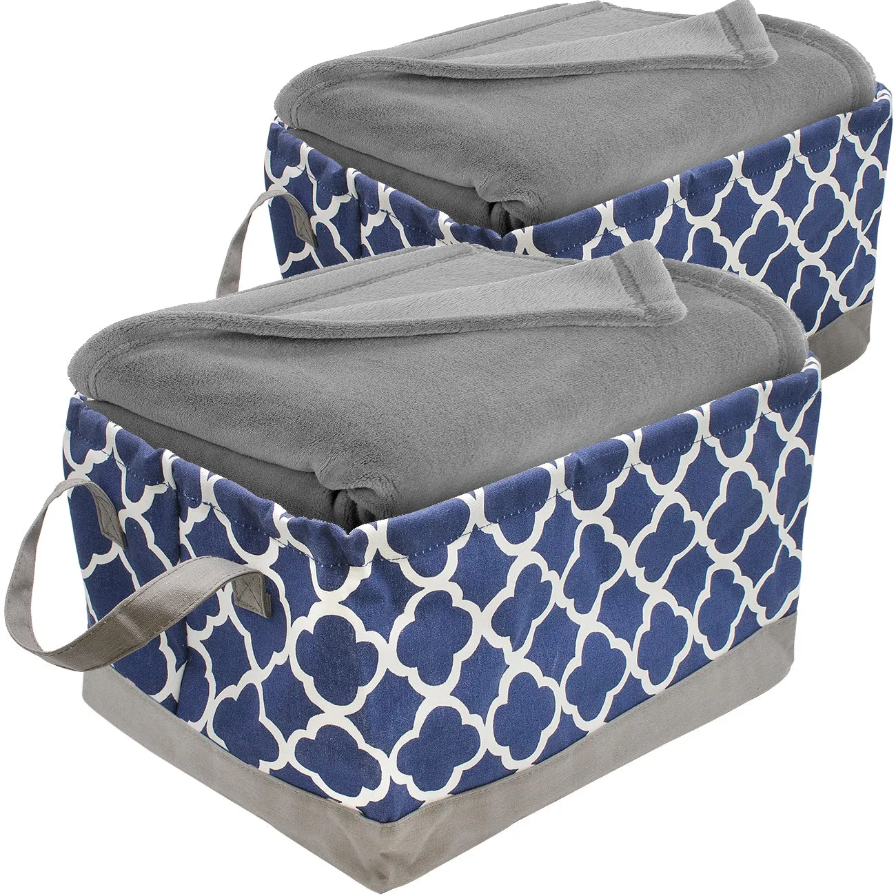 Storage Basket Bin Set (2 Pack)