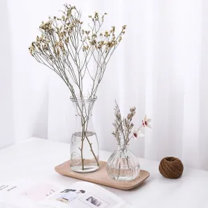 Transparent Hydroponic Plants Glass Vase For Table And Home Decorative