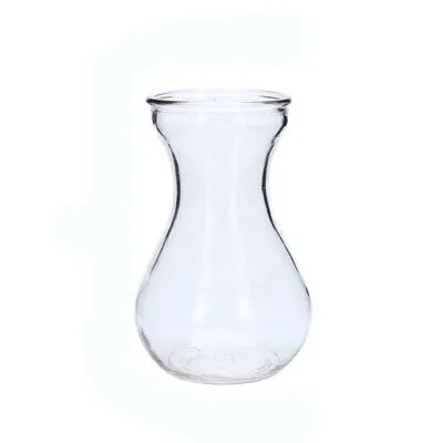Transparent Hydroponic Plants Glass Vase For Table And Home Decorative