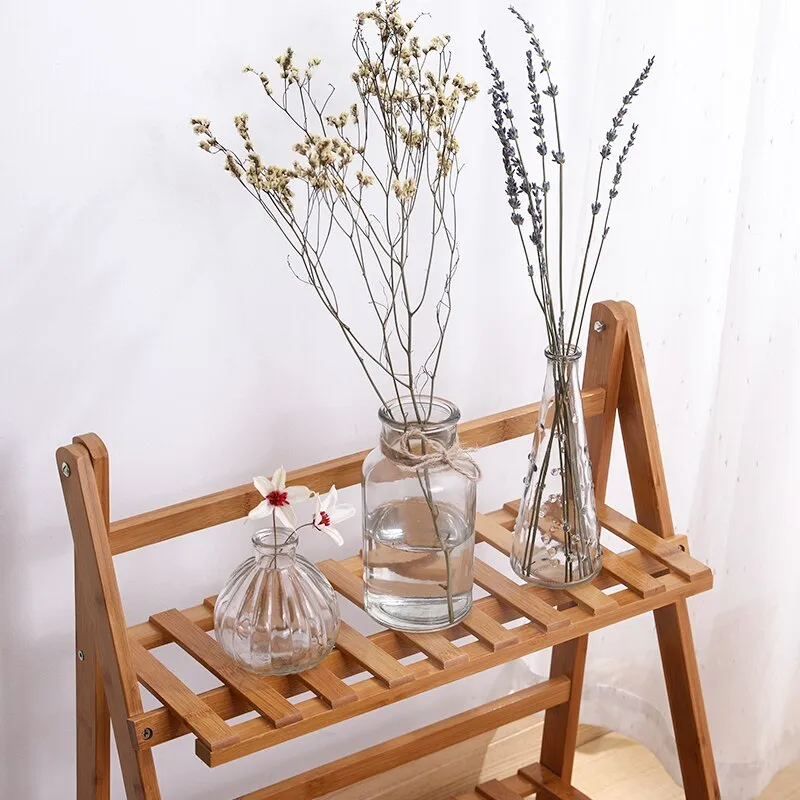 Transparent Hydroponic Plants Glass Vase For Table And Home Decorative