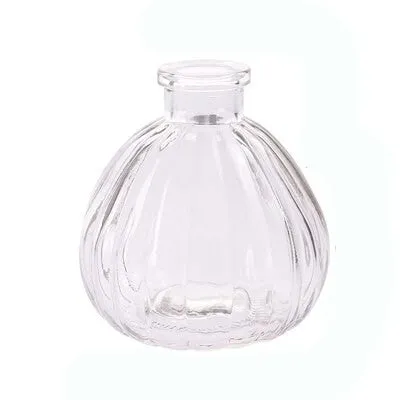 Transparent Hydroponic Plants Glass Vase For Table And Home Decorative