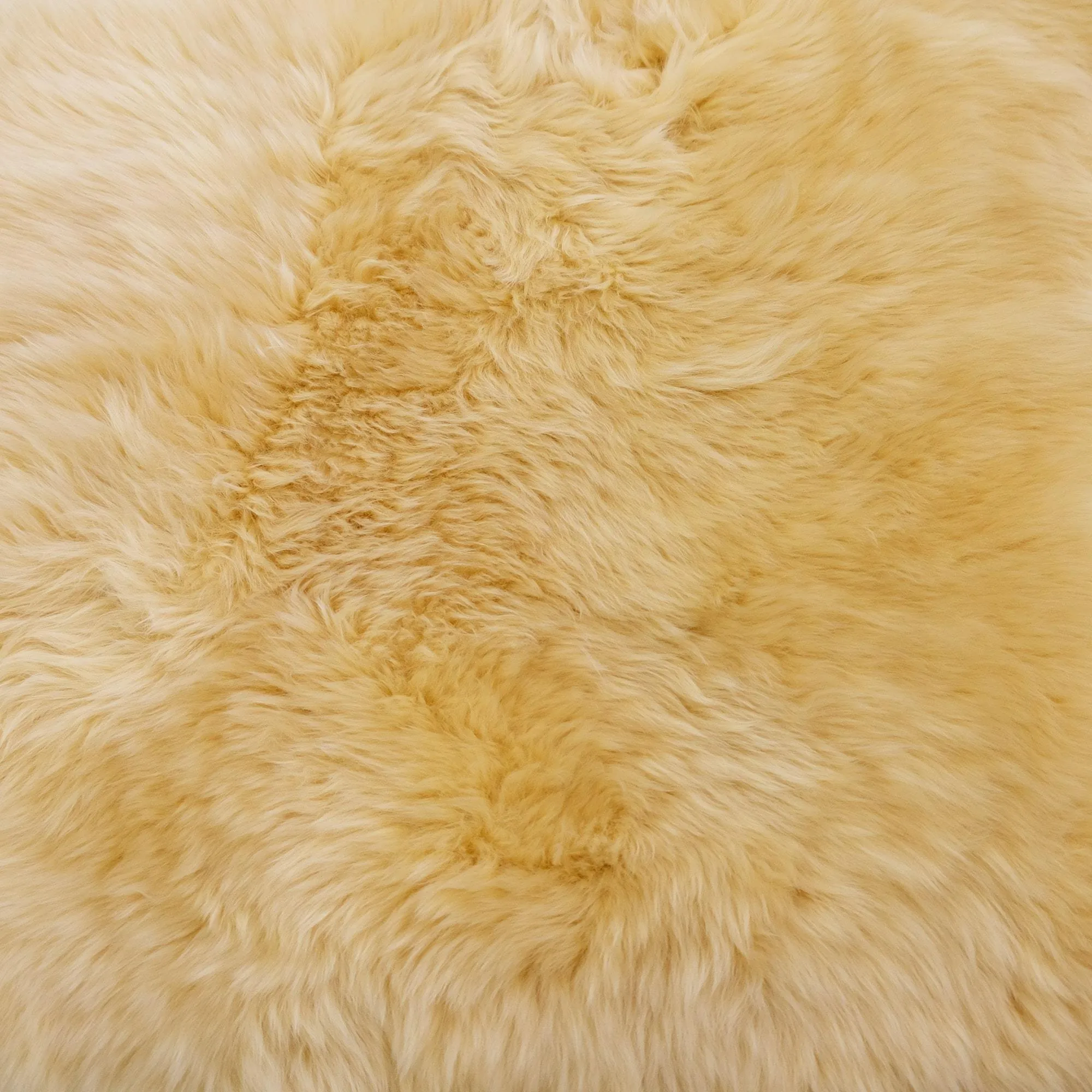 Vanilla - XXL - Long Wool Sheepskin Rug - Australian Merino Sheepskin